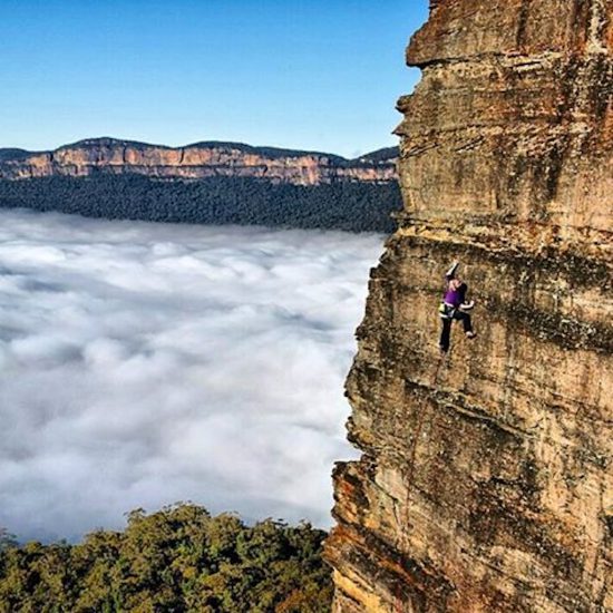 11909959_1605901803010424_2128883514_n