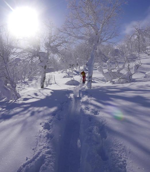 16143134_10154205023091156_918136554110305330_n