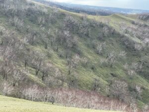 伊達紋別岳　日帰り北海道登山