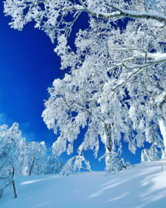 北海道山岳ガイドオフィス タクト 2023ホワイトシーズン　ツアー紹介