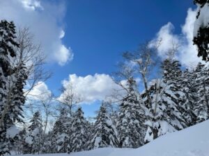 ガイドオフィス タクト　春ツアーご紹介