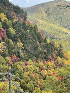 ガイドオフィス タクト　北海道　武華山