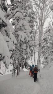 羊蹄山 スノーシュートレッキング タクト