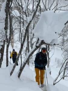 外国人ツアー　タクト