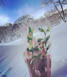 ガイドオフィス タクト