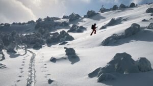 ガイドオフィス タクト　
羊蹄　ニセコ白樺北