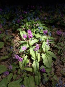 旭川エリア ロッククライミング