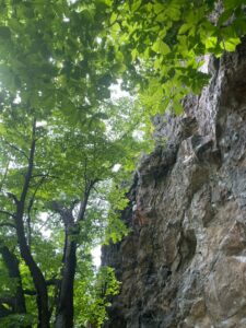 義経岩　クライミング
ガイドオフィス タクト