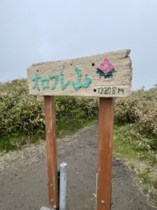 シラネアオイ咲く　オロフレ山　1230m