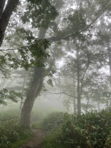 支笏湖　イチャンコッペ山
タクト 