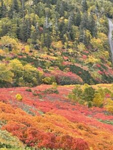 銀泉台から赤岳　紅葉登山紅葉刈り　ガイドタクト