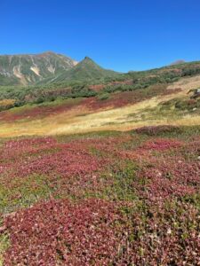 姿見から愛山渓の紅葉　2024 タクト