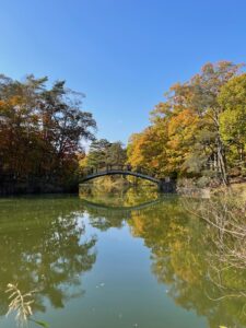 秋の駒ケ岳、大沼公園