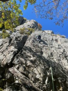 銭箱テングダケくらいmん義