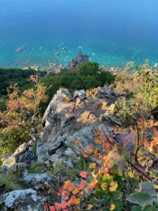 小樽赤岩　フリー　練習　タクト