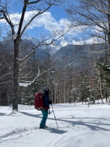 ガイドオフィスタクト 