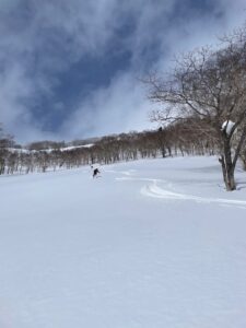 羊蹄山 BC 墓地の沢