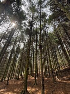 ガイドオフィスタクト  春山　稀府岳