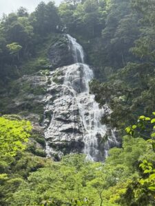シャクナゲの大杉谷から大台か原