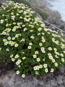 大雪山　赤岳　タクト 