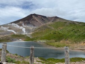 旭岳と裾合平　花ハイキング