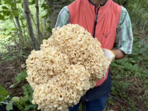 ハナビラダケ　三頭山　ガイドオフィスタクト 