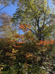 平日のんびり登山　タクト 
浦臼山