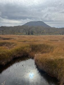 ニセコの紅葉とチセヌプリ