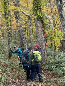 秋の伊達紋別岳